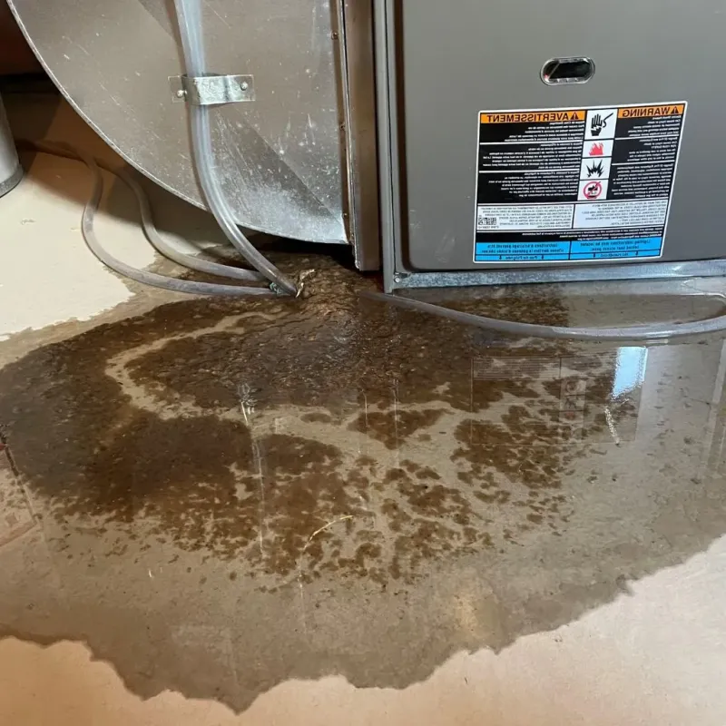 Pipe Burst and Leak Restoration in Ohio County, IN